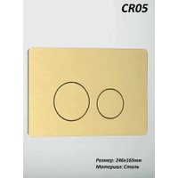 Панель смыва Cerutti CR05MG