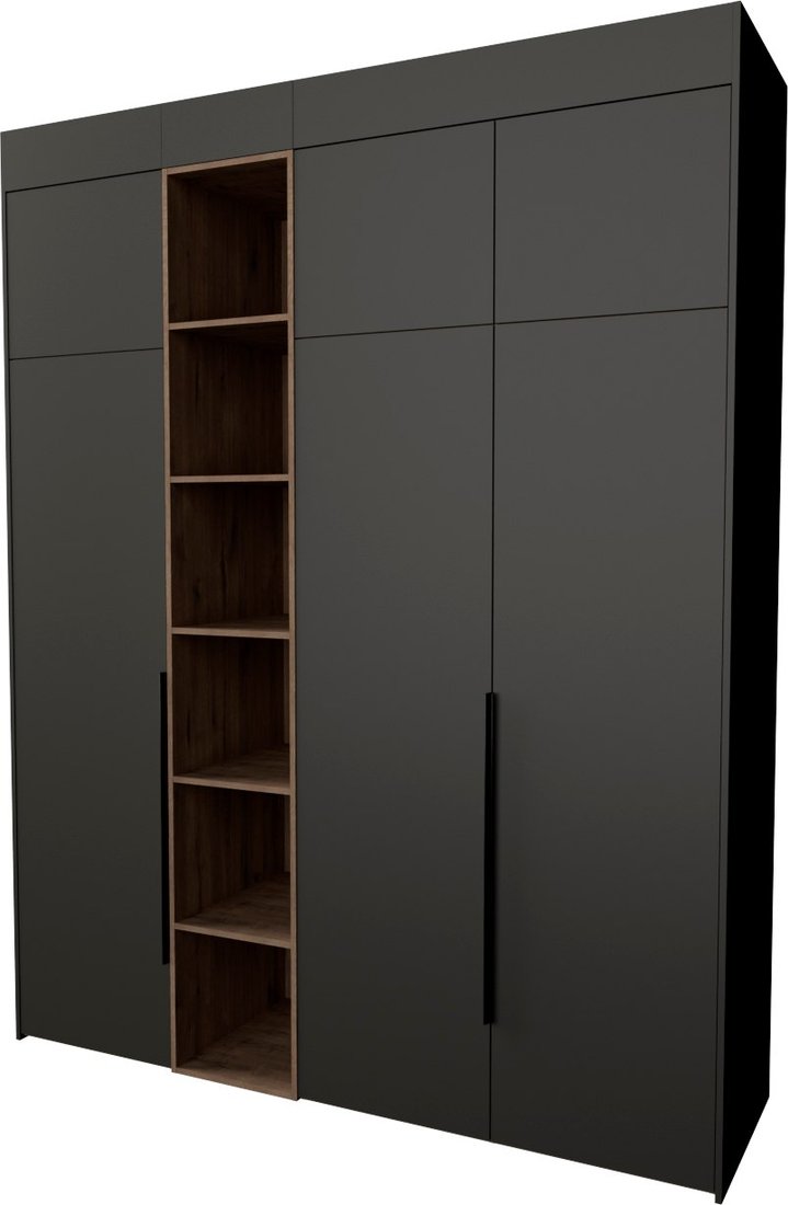 

Шкаф распашной Рэйгрупп Рэй S245-В8-1-WKW В8-1 (дуб веллингтон/кобальт)