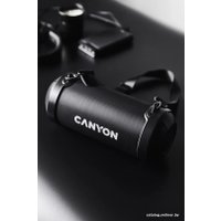 Беспроводная колонка Canyon BSP-7