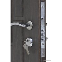 Металлическая дверь Steel Design Prestige 1