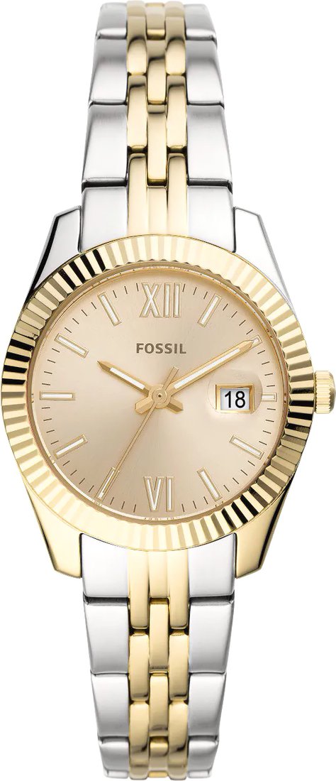 

Наручные часы Fossil Scarlette Mini ES4949
