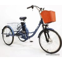 Электровелосипед GreenCamel Trike-24 R24 (250W 48V 15Ah, синий)