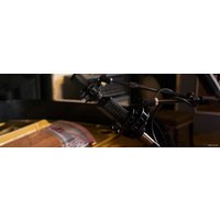 Проводной микрофон Lewitt LCT 441 Flex