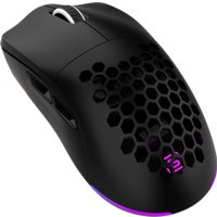 Игровая мышь Оклик 900GMW (черный)