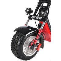 Электроскутер White Siberia CityCoco WS-PRO 2500w 21Ah (с черными брызговиками)