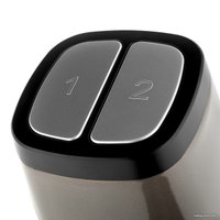 Чоппер First FA-5113-2-SI