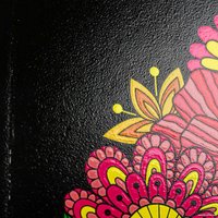 Книга издательства Проф-Пресс Раскраска-перевертыш. В цветочной феерии