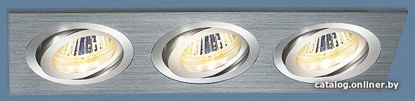 Точечный светильник Elektrostandard 1011/3 (хром)