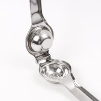 Пресс для цитрусовых Darvish DV-H-2045 в Бресте