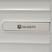 Чемодан-спиннер VALIGETTI 344-8022/2-24SLV (серебристый)