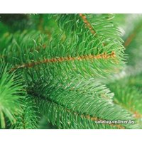 Ель Бифорес Венера Микс (1.3 м, светло-зеленый)