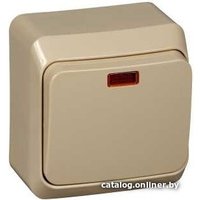 Выключатель Schneider Electric Этюд BA10-005K