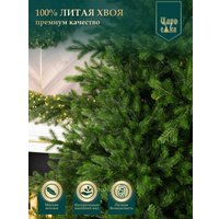 Ель Царь Елка Астерия премиум 210 см 3D АСТР/ПР-210