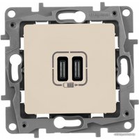 Розетка Type-C Legrand Etika 672335 (слоновая кость)