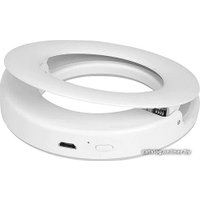 Кольцевая лампа DF LED-02 (белый)