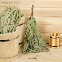 Банный веник Добропаровъ Эвкалиптовый 2691833