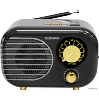 Радиоприемник TELEFUNKEN TF-1682B (черный/золотистый)