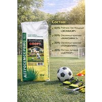 Семена АГРОСЕМСЕРВИС Спорт (10 кг)