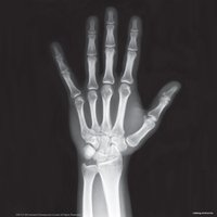 Набор для опытов 4M Юный врач. Скелет человека 00-03375