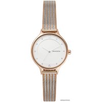 Наручные часы Skagen Anita SKW2749