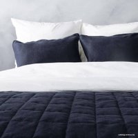 Покрывало Pasionaria Софт 160x220 с наволочками (синий)