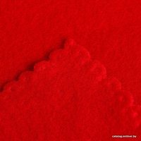 Плед Экономь и Я 6881716 150x200 (красный, 160 г/м2)