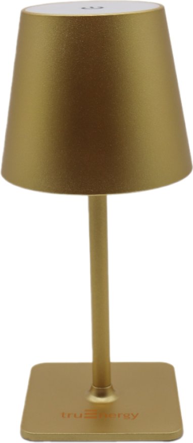 

Настольная лампа TruEnergy 29001