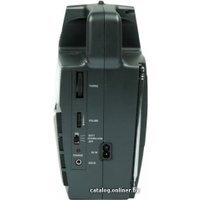 Радиоприемник Ritmix RPR-555