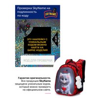 Школьный рюкзак SkyName R1-055 + брелок мишка