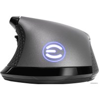 Игровая мышь EVGA X17 (серый)
