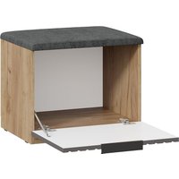 Тумба для обуви Трия Хилтон №4 251068 (дуб крафт золотой/графит матовый)