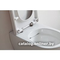 Унитаз подвесной SSWW CT2039V NC4477 в Могилеве