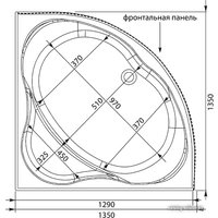 Ванна Aquanet Vitoria 135x135