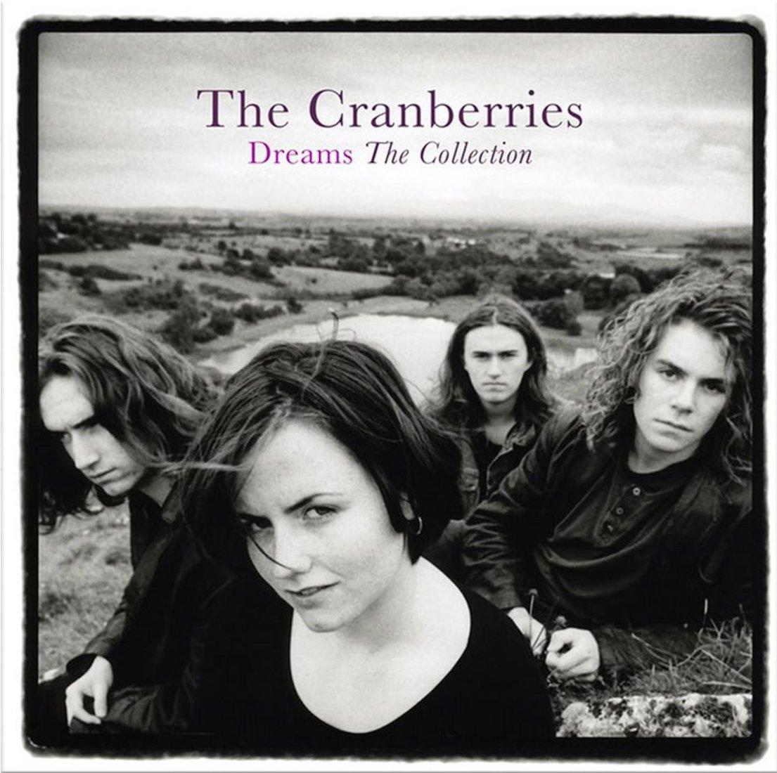 

Виниловая пластинка The Cranberries ‎- Dreams: The Collection