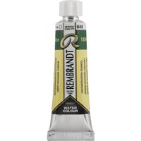Акварельная краска Rembrandt 645 05016450 (зеленый хукера темный)
