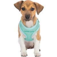 Шлея с поводком Trixie Junior набор шлея 36-50 см +поводок 2 м M-L (мятный) в Солигорске