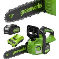Аккумуляторная пила Greenworks GD24CS30 (с 1-им АКБ)