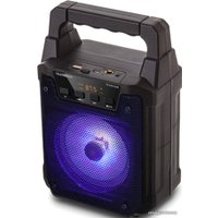 Беспроводная колонка TELEFUNKEN TF-PS1229B