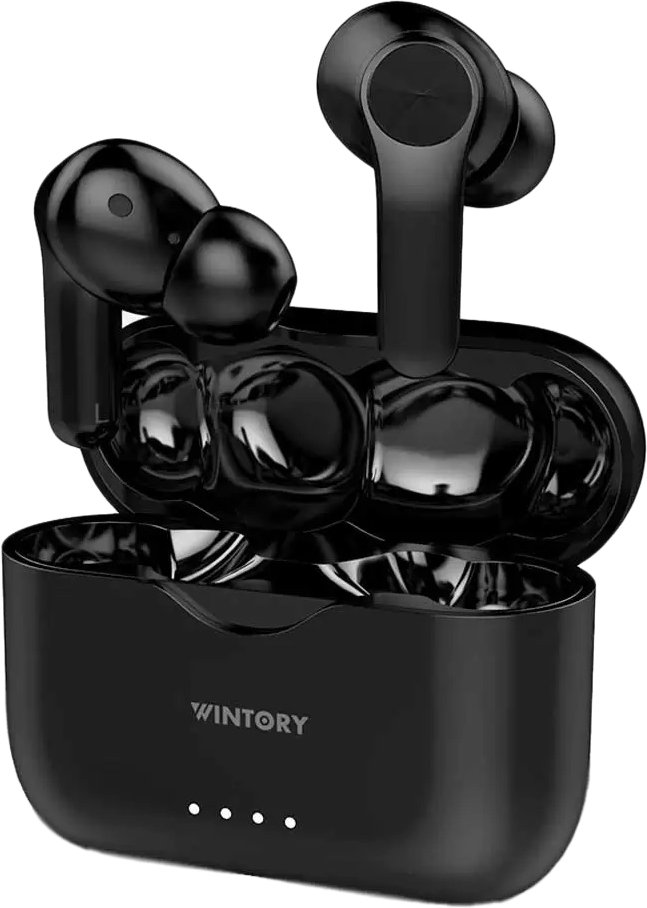 

Наушники Wintory Pod 2