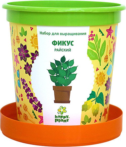 

Набор для опытов Happy plant Фикус райский hpn-12