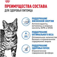 Консервированный корм для кошек Royal Canin Indoor Sterilised 7+ in Jelly кусочки в желе 12x85 г