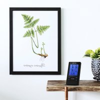 Метеостанция Vitek VT-3532 BK