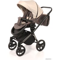 Универсальная коляска Invictus V-Plus (3 в 1, 03)