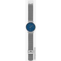 Наручные часы Skagen SKW6389