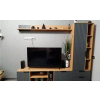 Тумба Трия Хилтон для ТВ (дуб крафт золотой/графит матовый)