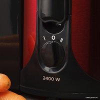 Соковыжималка Scarlett SC-JE50S48