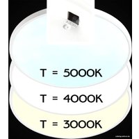 Светильник-тарелка Citilux Бейсик CL738500V