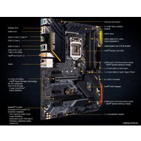 Материнская плата ASUS TUF Gaming Z490-Plus (Wi-Fi)