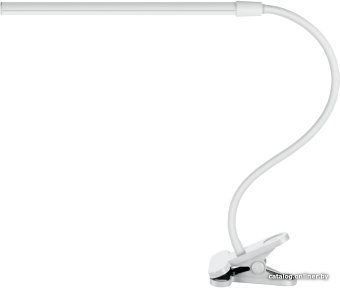 Настольная лампа Arte Lamp Conference A1106LT-1WH