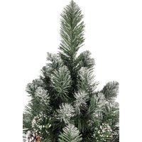 Сосна Maxy Poland Жемчужина серебро 402462 1.8 м